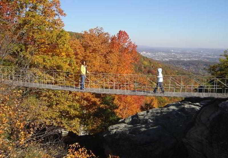 Residence Inn Chattanooga Near Hamilton Place Dış mekan fotoğraf